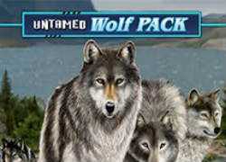 Untamed Wolf Pack